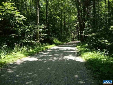 0 Zinks Mill School Rd unit 564867, Montebello, VA 24464 - photo 4