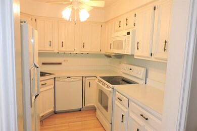 3415 Vollmer Rd unit 309, Flossmoor, IL 60422 - photo 5