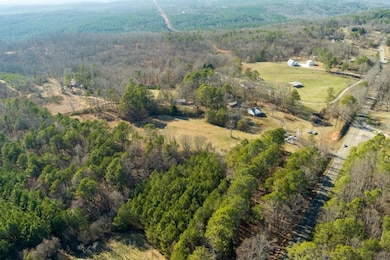 170 Sperin Cabinet Rd, Ball Ground, GA 30107 - photo 5