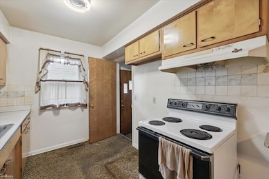 3801 Schlee St, Lansing, MI 48910 - photo 7