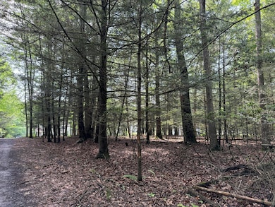 Lot 45 Annie Oakley Aly, Paradise Township, PA 18332 - photo 5