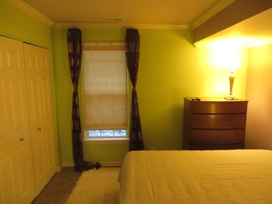 1002 Celebration Dr, Aurora, IL 60504 - photo 3