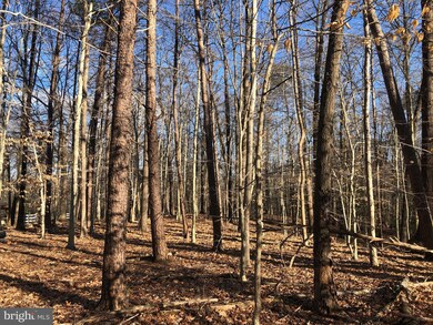 0 Cold Point Rd unit VAFX1127368, Clifton, VA 20124 - photo 7