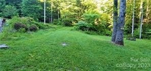 0 Arnold Hill Rd and Westridge Rd, Sylva, NC 28779 - photo 3