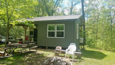 10094 N Woodbridge Rd, Bitely, MI 49309 - photo 3