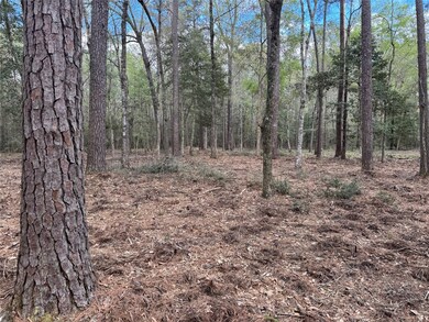 0 County Road 2317 unit 78772077, Dayton, TX 77535 - photo 5