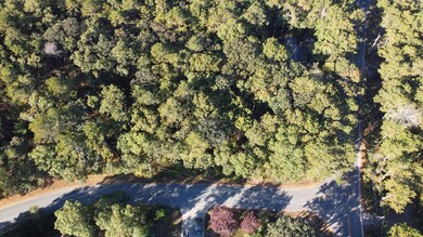 44 Crooked Meadow Rd, Falmouth, MA 02536 - photo 5