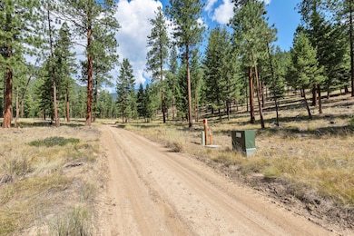 13902 Highland Trail, Alberton, MT 59820 - photo 4