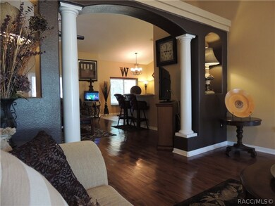 10 Bellis Ct, Homosassa, FL 34446 - photo 6