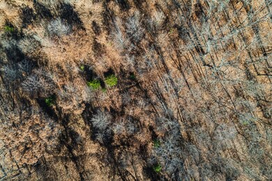 00000 Gull Rd, Toronto, KS 66777 - photo 6