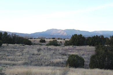 Tbd Cedar Ave, Canon City, CO 81212 - photo 2