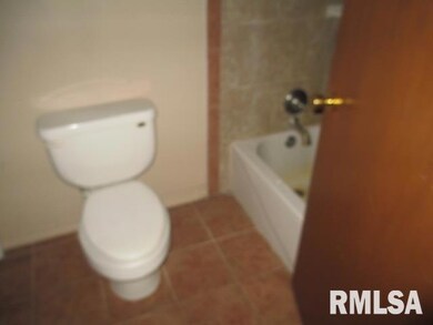 321 Ferry Rd, Geneseo, IL 61254 - photo 5