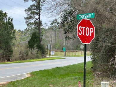 Tract#6408 Cooks Mill Rd unit C, Bonifay, FL 32425 - photo 2