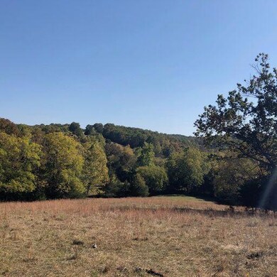 000 Farm Road 2080, Jenkins Township, MO - photo 6