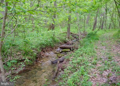 0 Palmyra Church Rd unit VASH120458, Edinburg, VA 22824 - photo 6