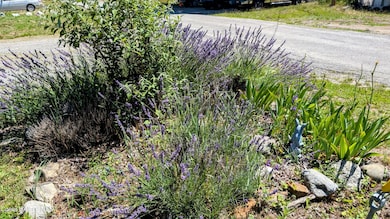 6577 Comanche St, Bonners Ferry, ID 83805 - photo 7