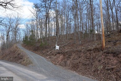 2023 Posey Hollow Rd, Berkeley Springs, WV 25411 - photo 3