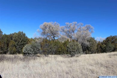 5103 Little Walnut Rd, Silver City, NM 88061 - photo 7