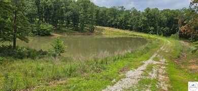 15986 Squirrel Run Dr unit 16086 Squirrel Run D, Warsaw, MO 65355 - photo 3