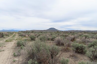 S View on W Side of Property