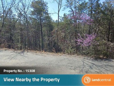 Blackfoot Dr, Holiday Island, AR 72631 - photo 7