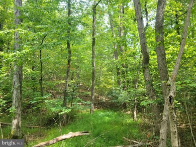 Lot 8 Jermikey Ct, Hedgesville, WV 25427 - photo 4