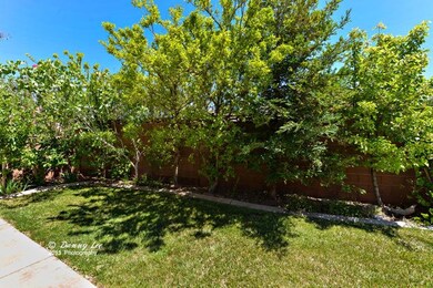 Backyard d