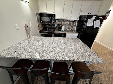 237 Mountain Lodge, Snowshoe, WV 26209 - photo 6