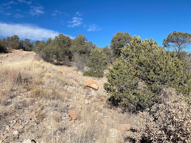 0 Ruby Dr, Timberon, NM 88350 - photo 5