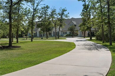 Grand drive flanked by oaks on either side
