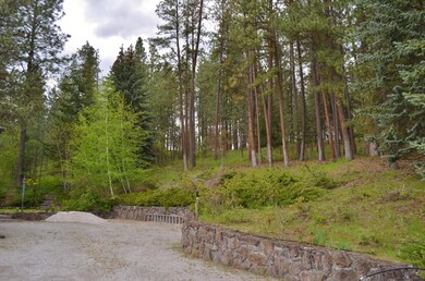 Wooded Area