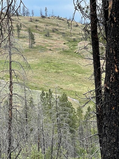 960X Knox Rd, Riverside, WA 98849 - photo 5