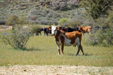 Rigden Ranch, Kirkland, AZ 86332 - photo 6