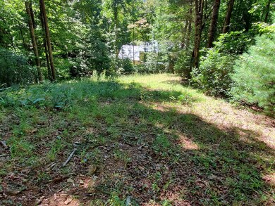 Lot 24 Driveway
