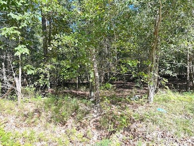 0 A Acorn Ln, Santee, SC 29142 - photo 2