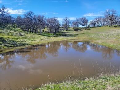 25156 E State Highway 20, Clearlake Oaks, CA 95423 - photo 4