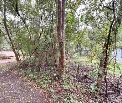 0000 Limit St, Bagdad, FL 32583 - photo 5