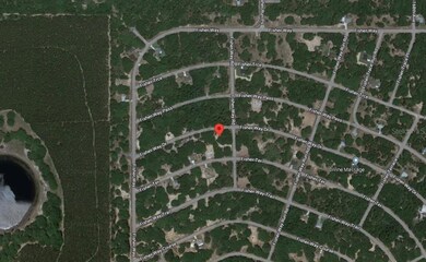 0 Fisher Way Dr unit A4540420, Ocklawaha, FL 32179 - photo 2