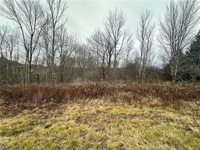0 Kostenko Sutton Rd, Pitcher, NY 13801 - photo 4