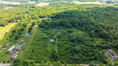 Aerial view of a heavily wooded area