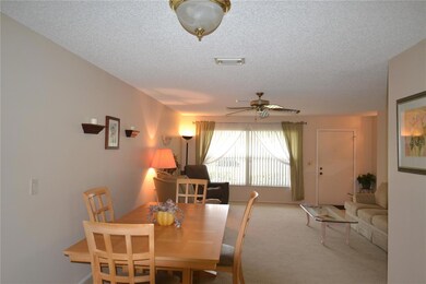 3276 Buckhorn Dr, Clearwater, FL 33761 - photo 5