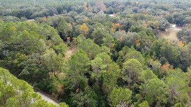 0 NW 30th St unit 796107, Chiefland, FL 32626 - photo 7