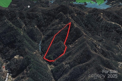 999 Cullisia Rd, Bryson City, NC 28713 - photo 2