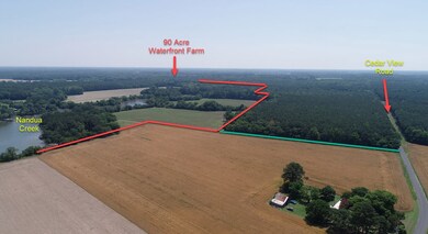 90 Acres on Nandua Creek
