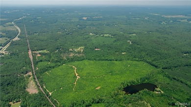 143 ACRES Old Peach Orchard Ln, Meherrin, VA 23954 - photo 6