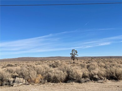 47400 120th St E, Lancaster, CA 93535 - photo 4