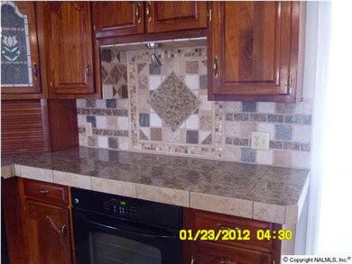 DECORATIVE BACK SPLASH AT BACK OF STOVE AND ALL AROUND COUNTER TOPS