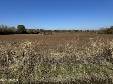 290 Cottage Ln, Church Point, LA 70525 - photo 3