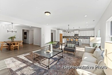 8-web-or-mls-08_REP