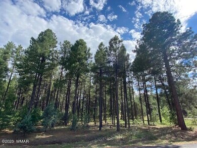 Ponderosa Pines
